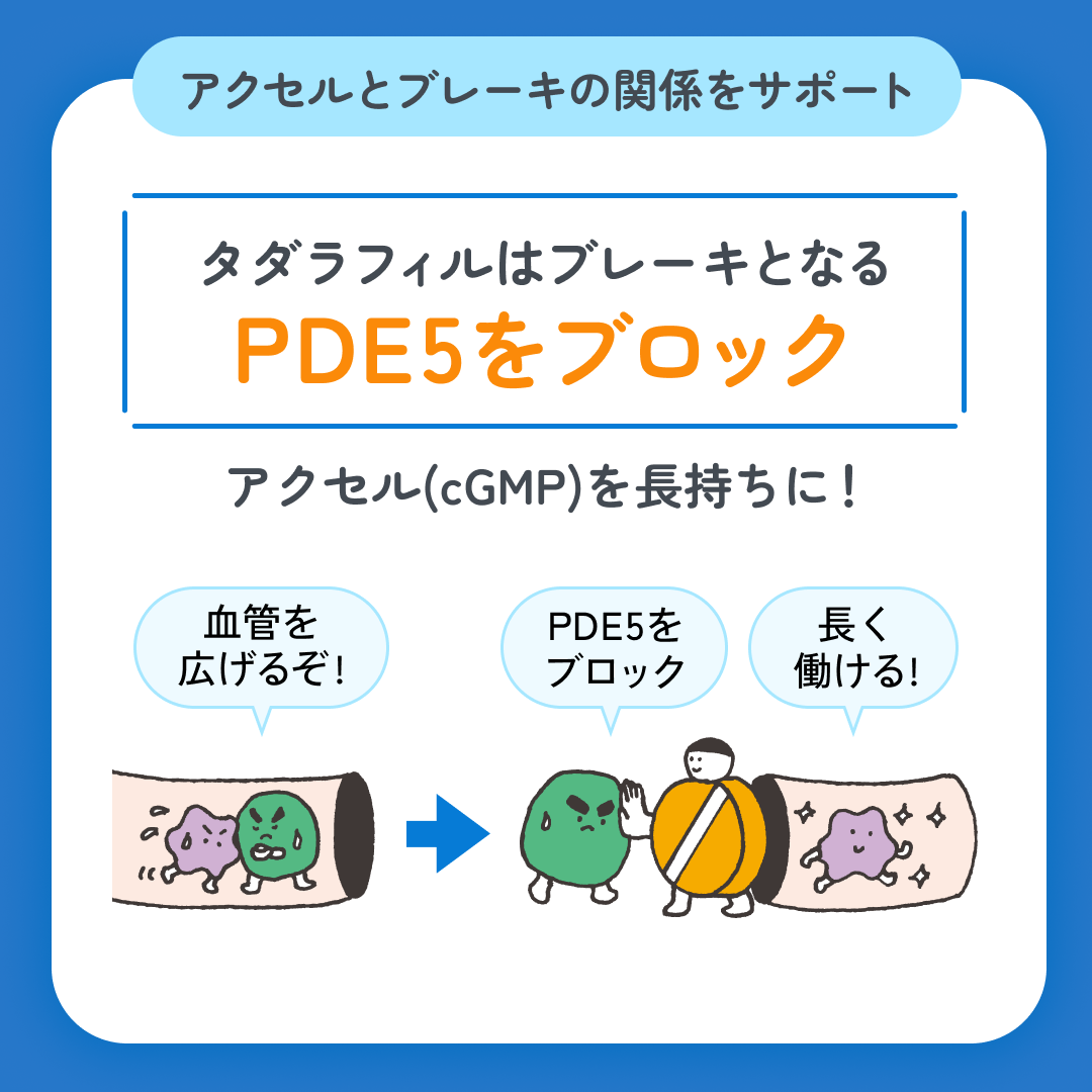 スマクリED 初回フォロー day3 3枚目