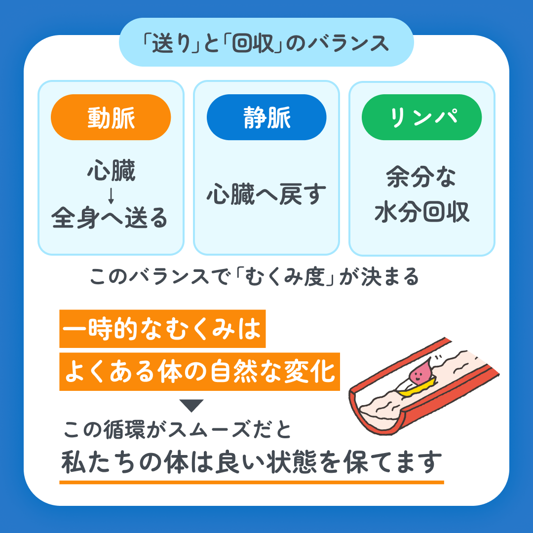 スマクリED 初回フォロー day11 3枚目