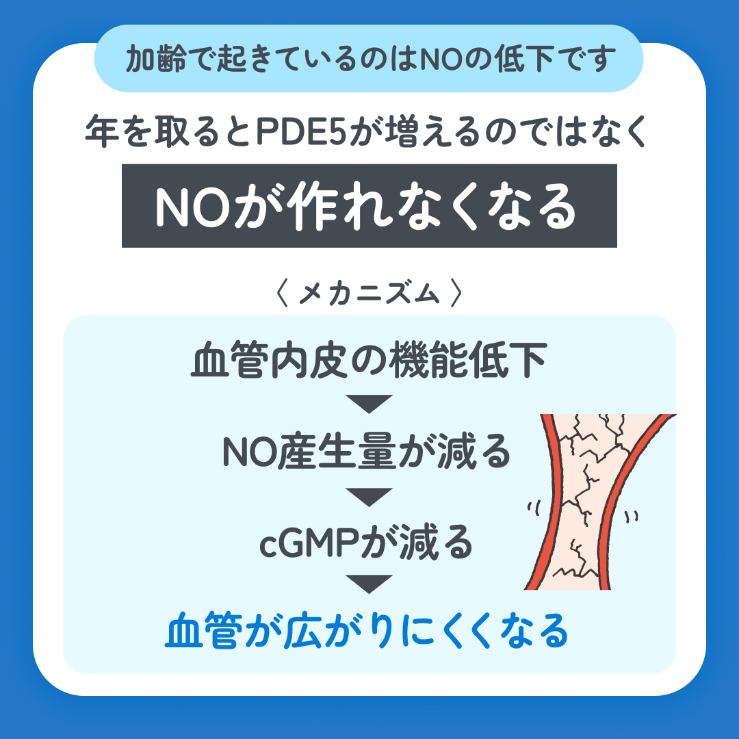 スマクリED 初回フォロー day15 2枚目