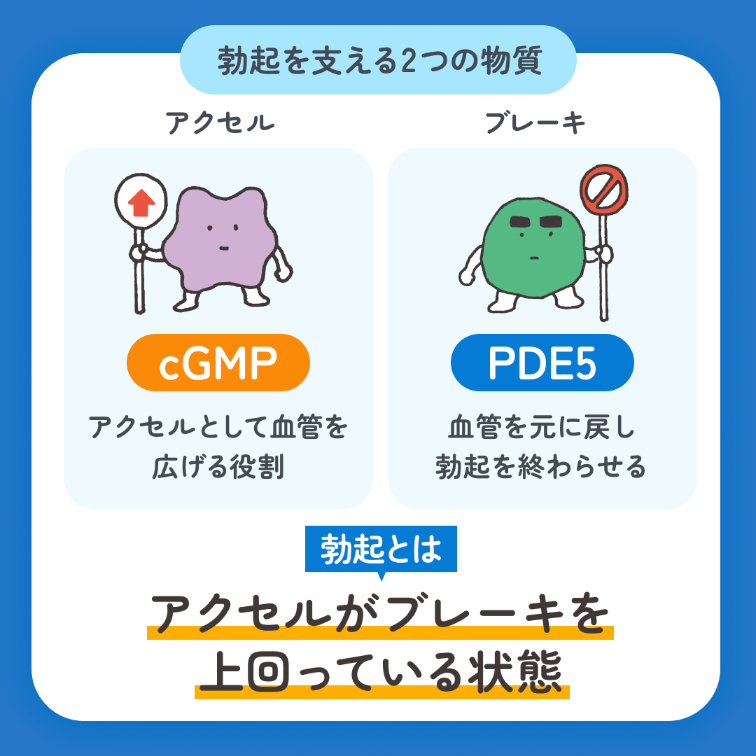 スマクリED 初回フォロー day2 2枚目