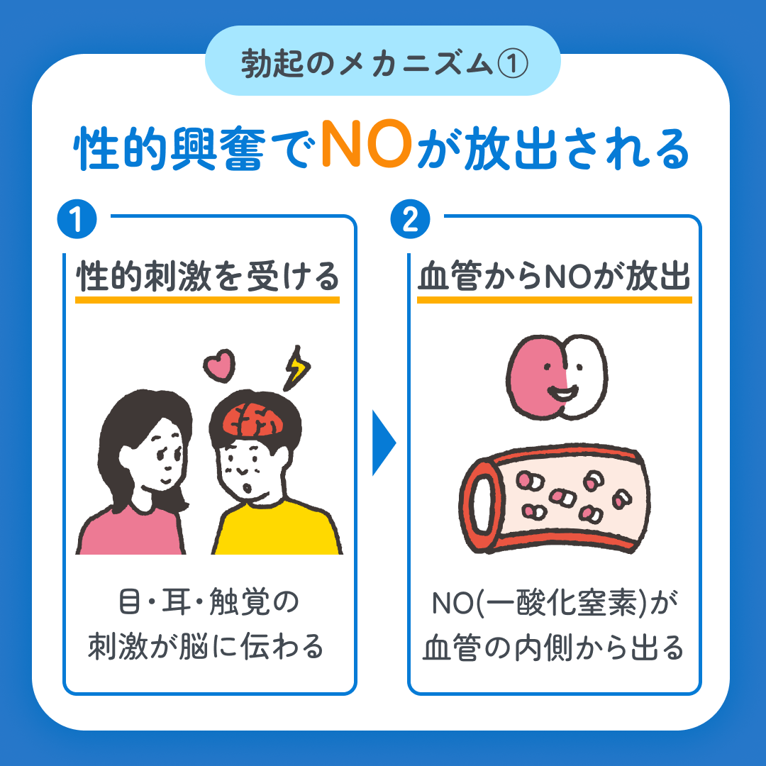 スマクリED 初回フォロー day2 3枚目