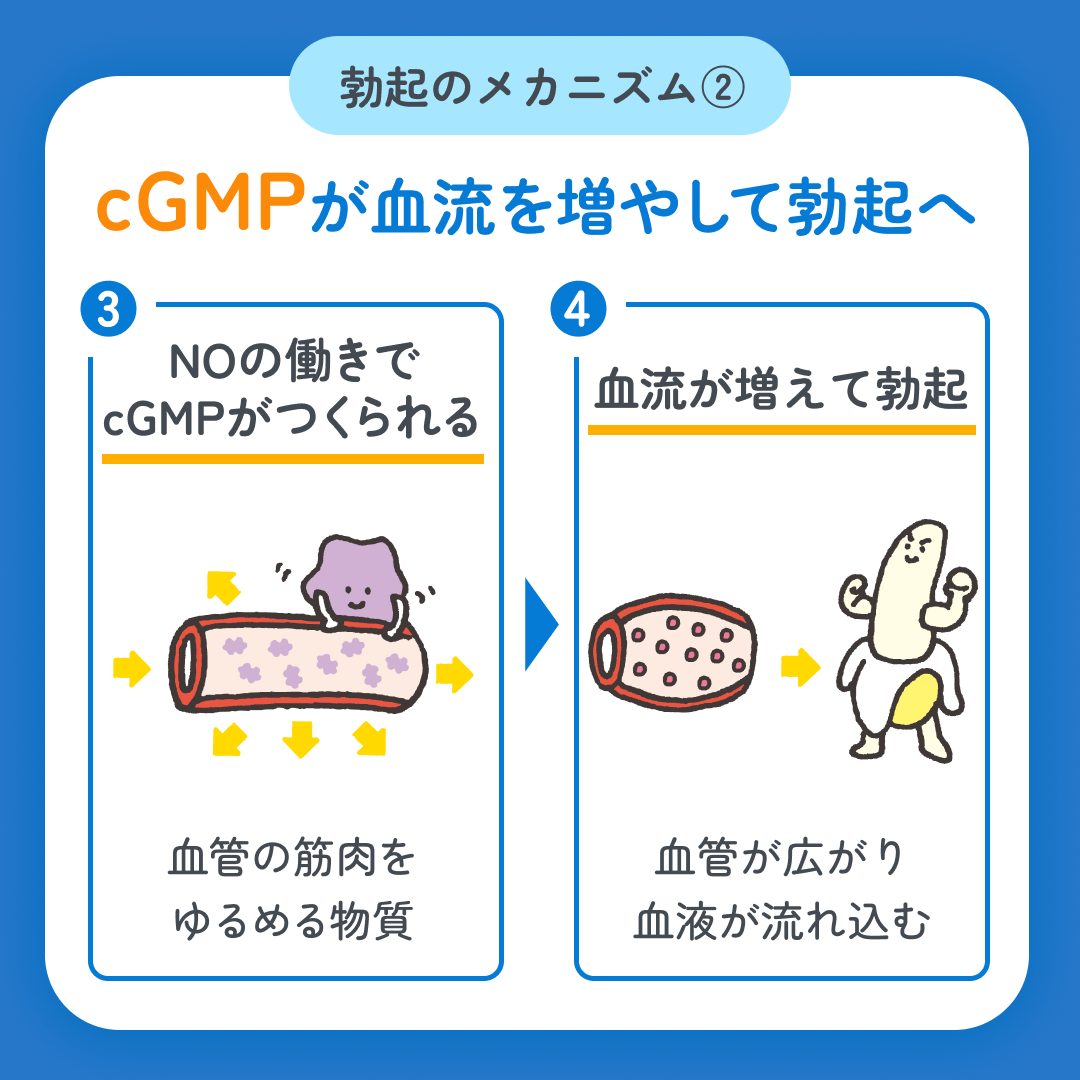 スマクリED 初回フォロー day2 4枚目