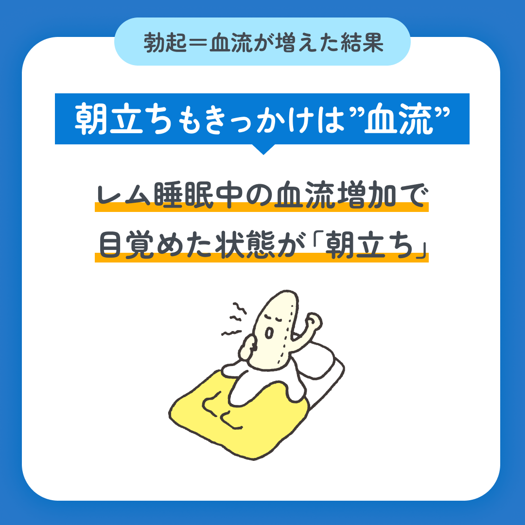 スマクリED 初回フォロー day2 5枚目