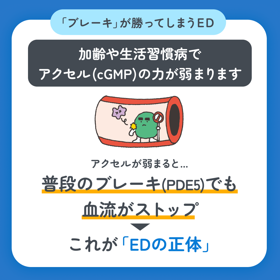 スマクリED 初回フォロー day2 6枚目
