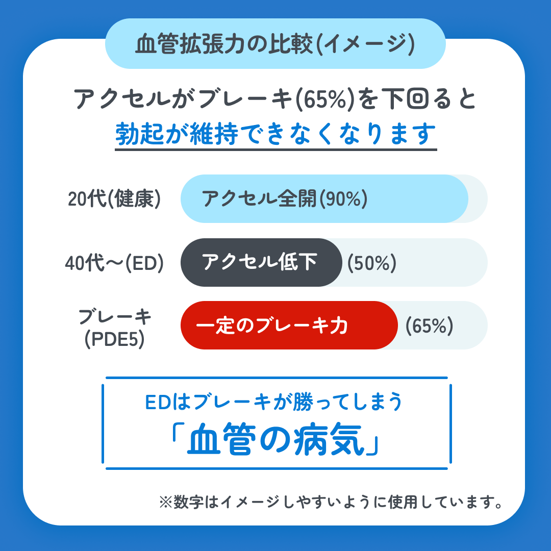 スマクリED 初回フォロー day2 7枚目