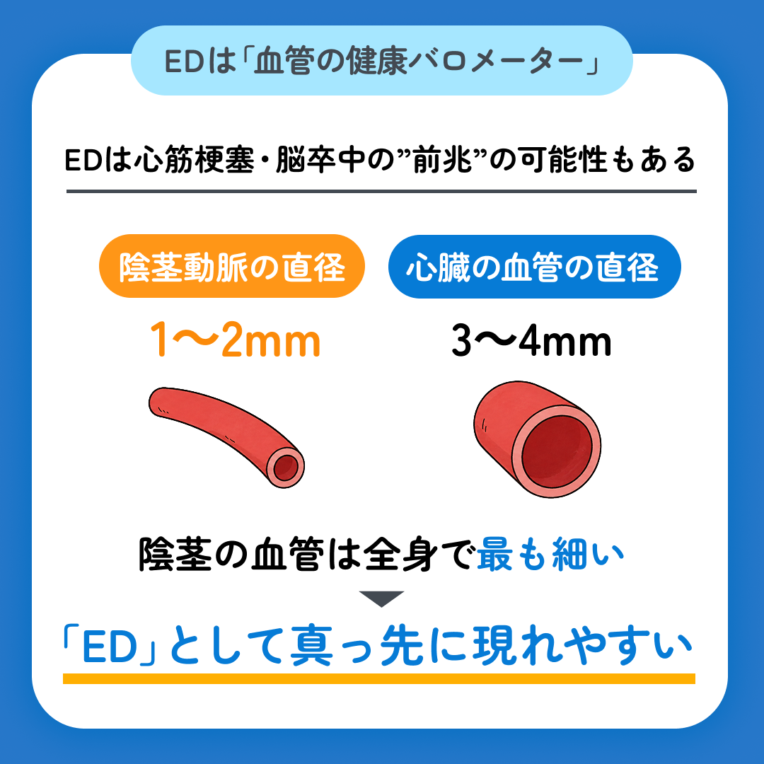スマクリED 初回フォロー day2 8枚目