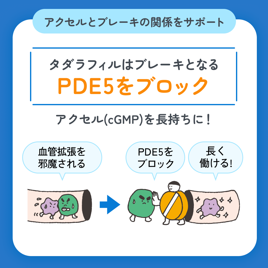 スマクリED 初回フォロー day3 3枚目