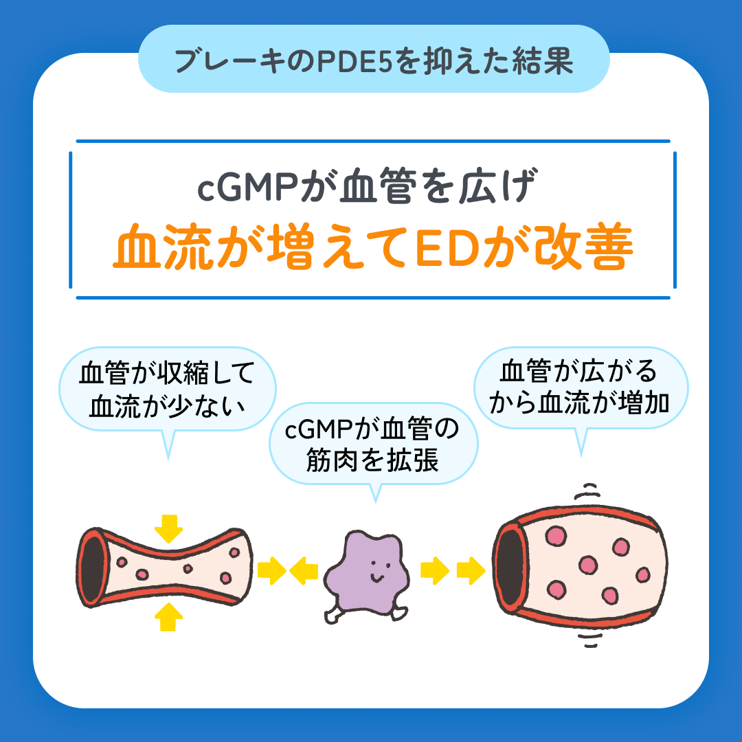 スマクリED 初回フォロー day3 4枚目