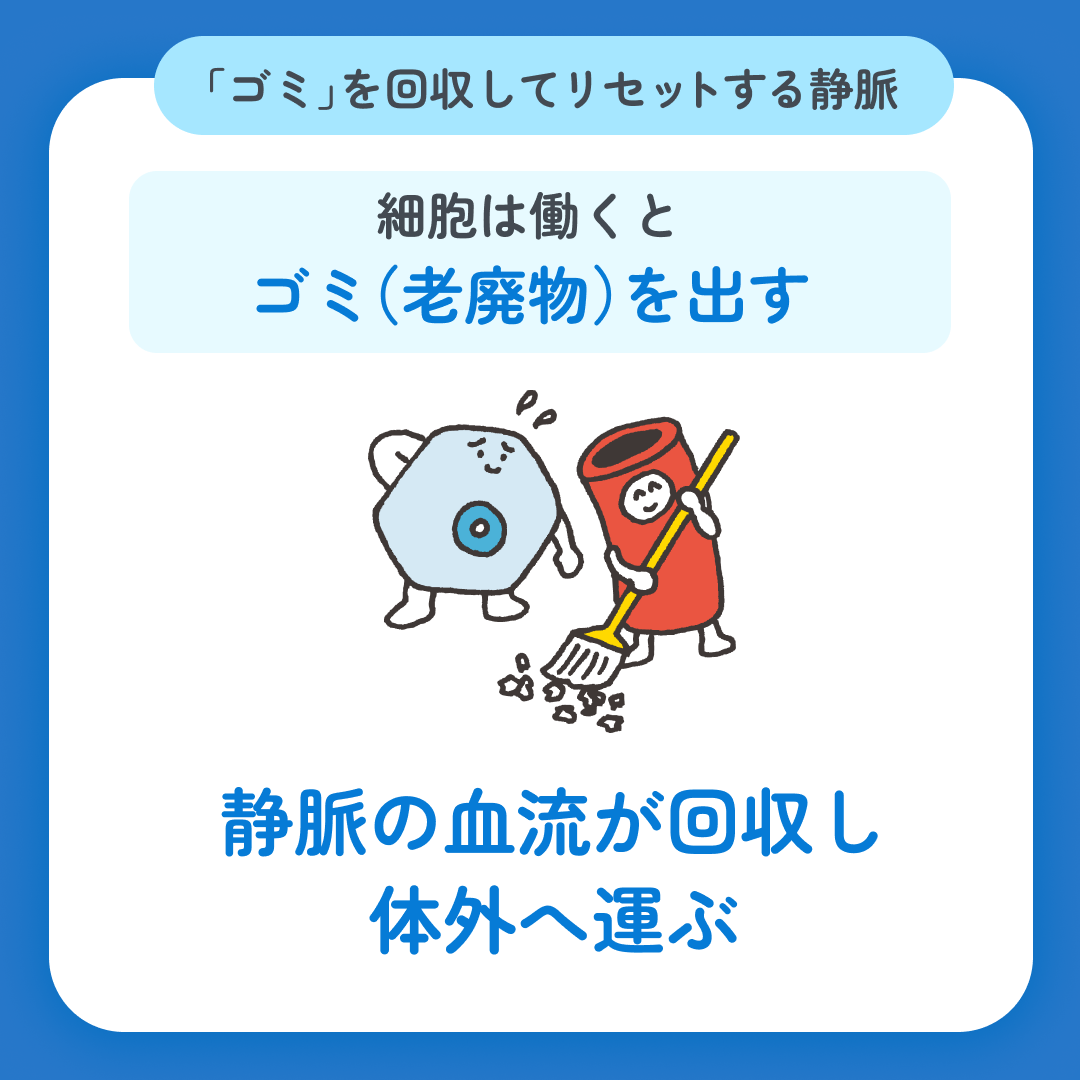 スマクリED 初回フォロー day5 3枚目