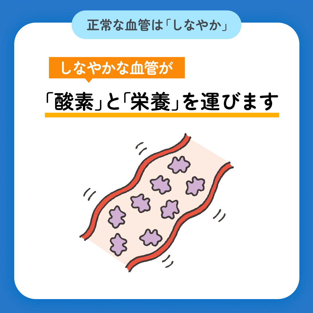 スマクリED 初回フォロー day6 2枚目