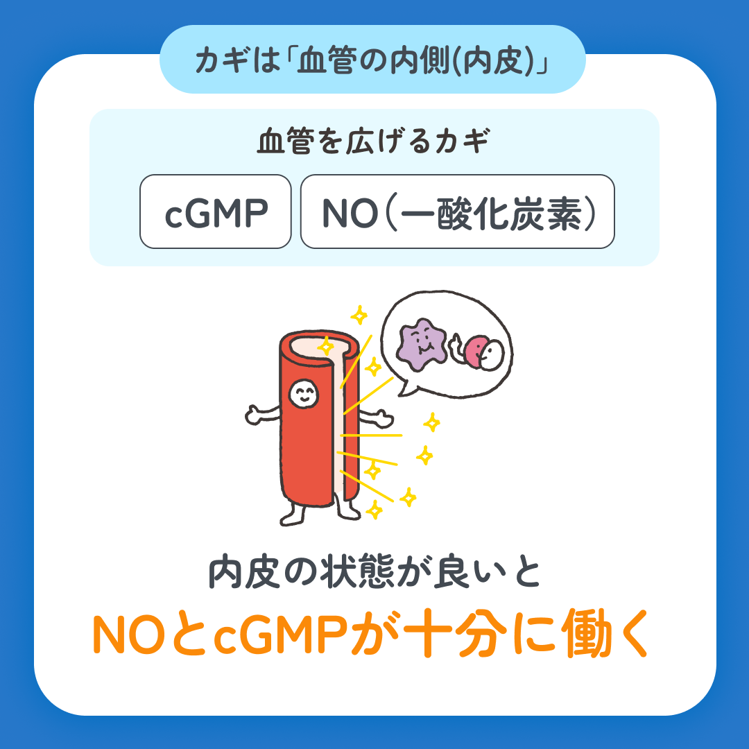 スマクリED 初回フォロー day6 5枚目