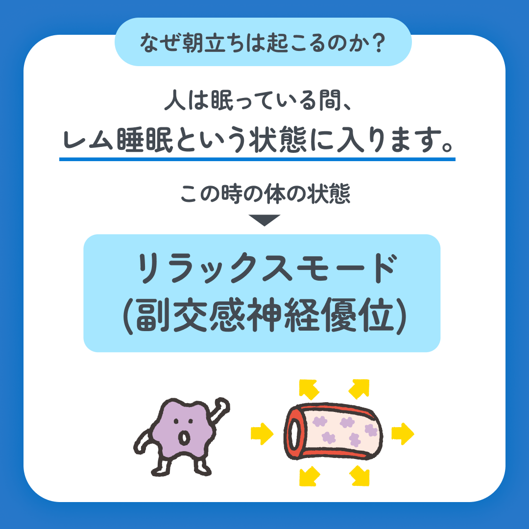 スマクリED 初回フォロー day9 2枚目