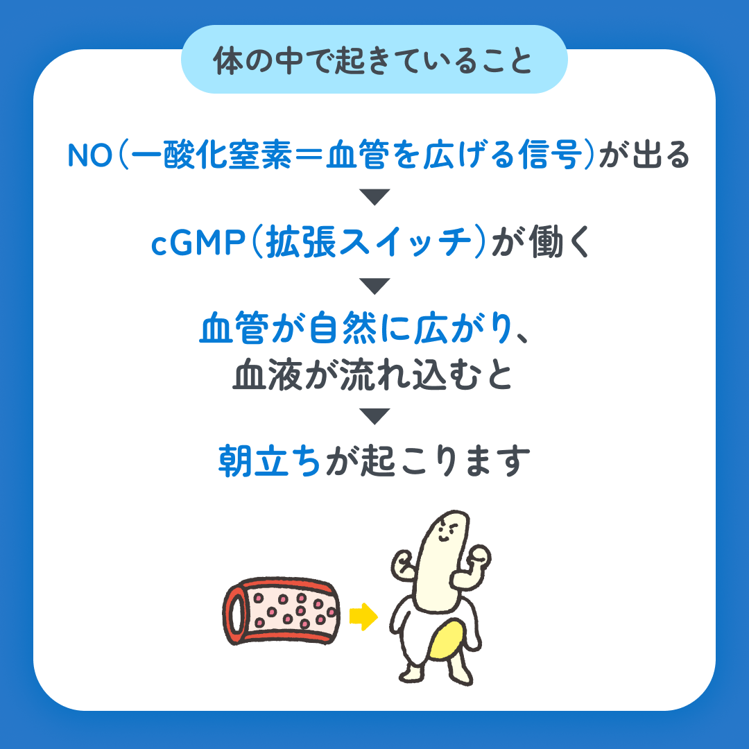 スマクリED 初回フォロー day9 4枚目